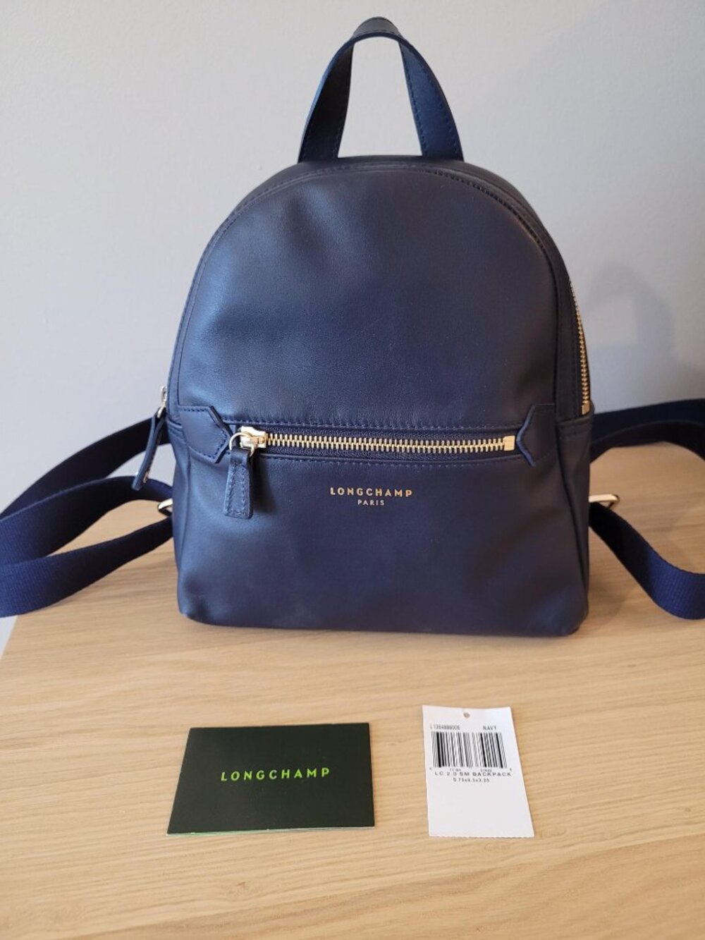 Longchamp Small Leather Backpack in Navy
